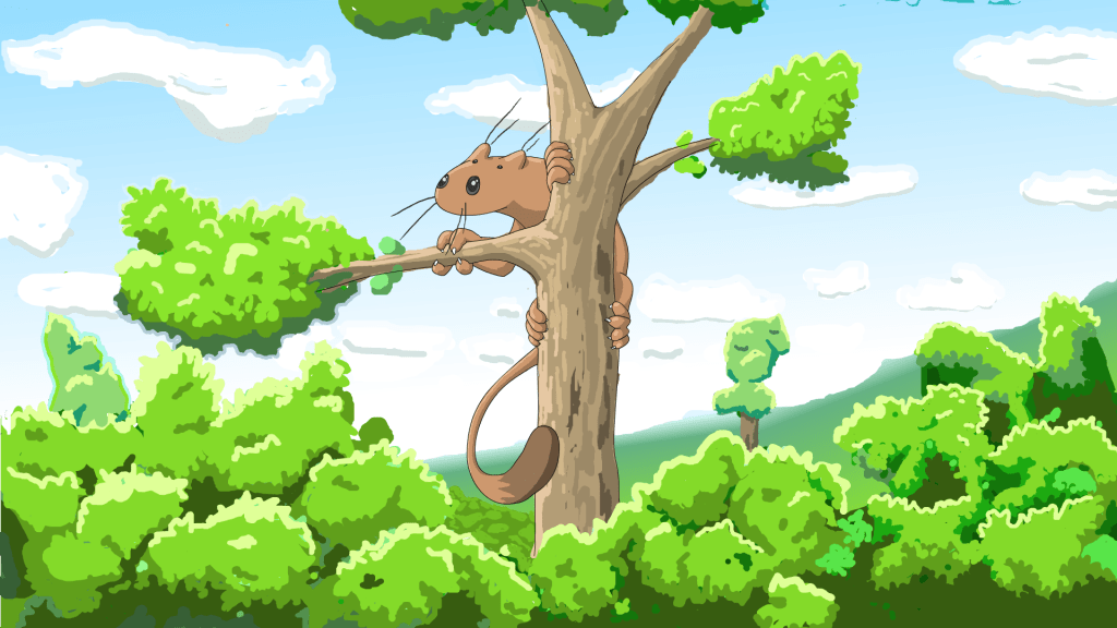 Arborin above the canopy