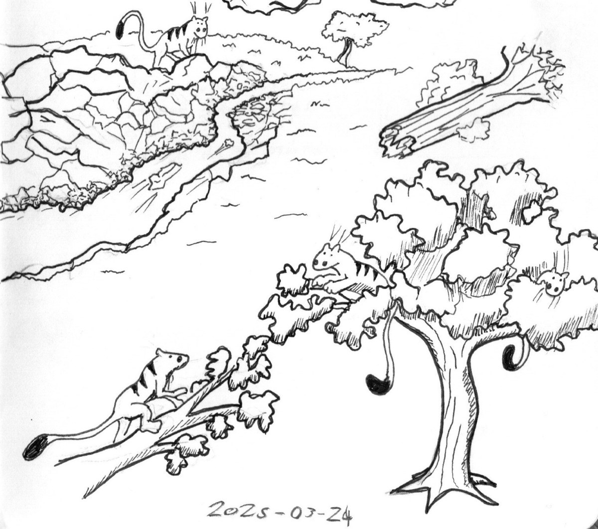 Dev Sketchbook: Rocks and&nbsp;Such